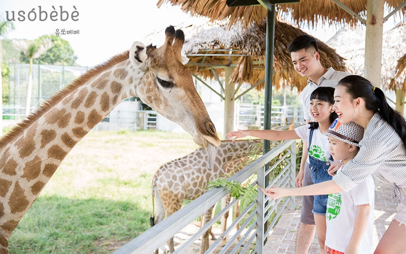 Đưa bé đi tham quan sở thú để thấy động vật thật