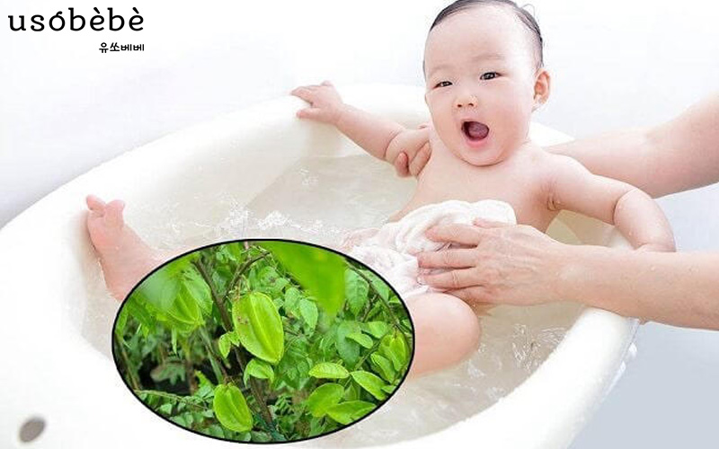 Lá khế có tính mát, giúp tán nhiệt, giảm viêm, làm dịu vùng da bị kích ứng