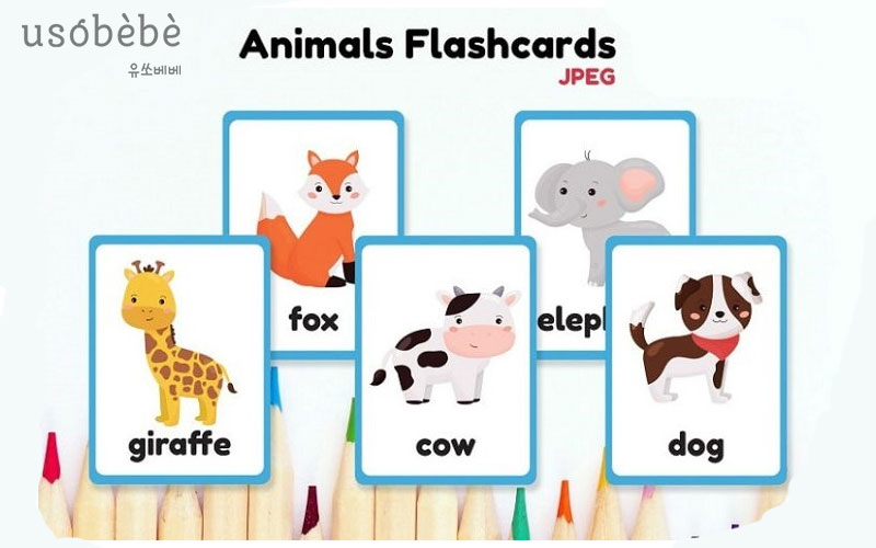 Giúp bé nhận biết con vật với Flashcard Animals