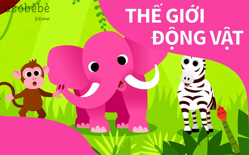 Những video hoạt hình về thế giới động vật 