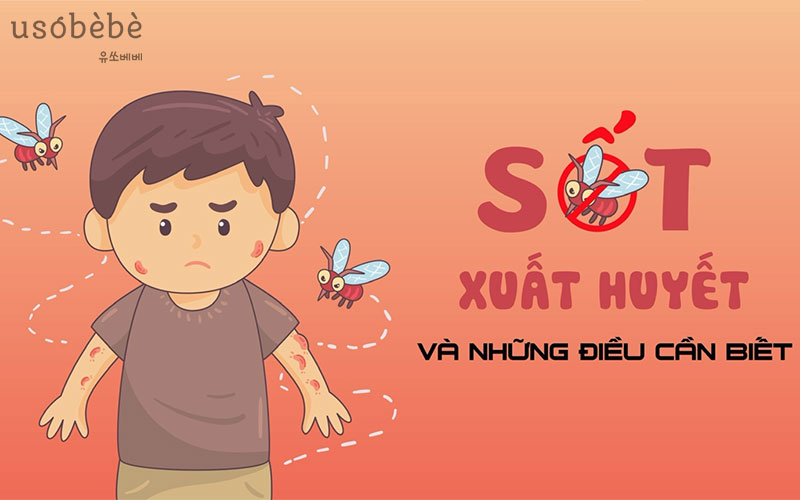 Bệnh Sốt xuất huyết có thể nguy hiểm đến tính mạng Bệnh Sốt xuất huyết có thể nguy hiểm đến tính mạng
