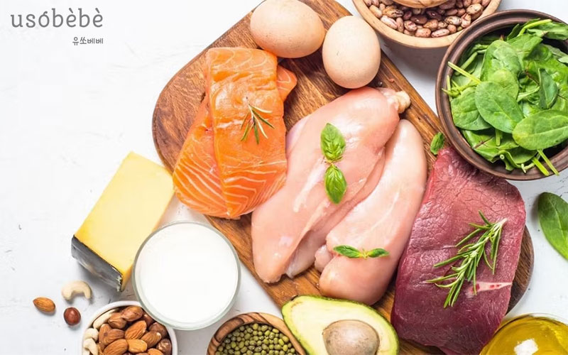 Tầng 4. Nhóm thực phẩm chứa đạm