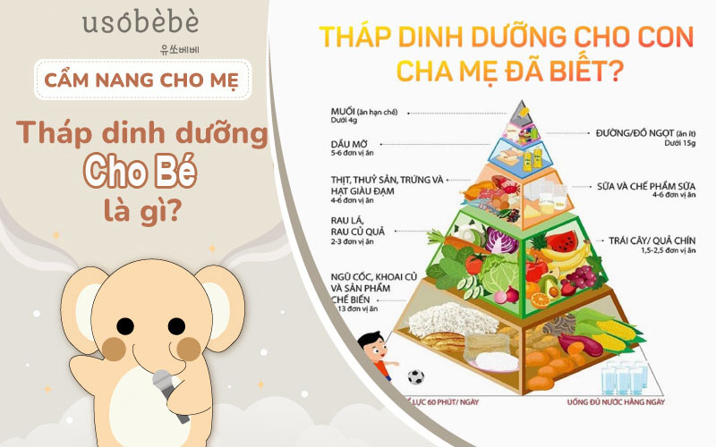 Tháp dinh dưỡng cho bé từ 1 đến 11 tuổi - Mẹ nên biết?